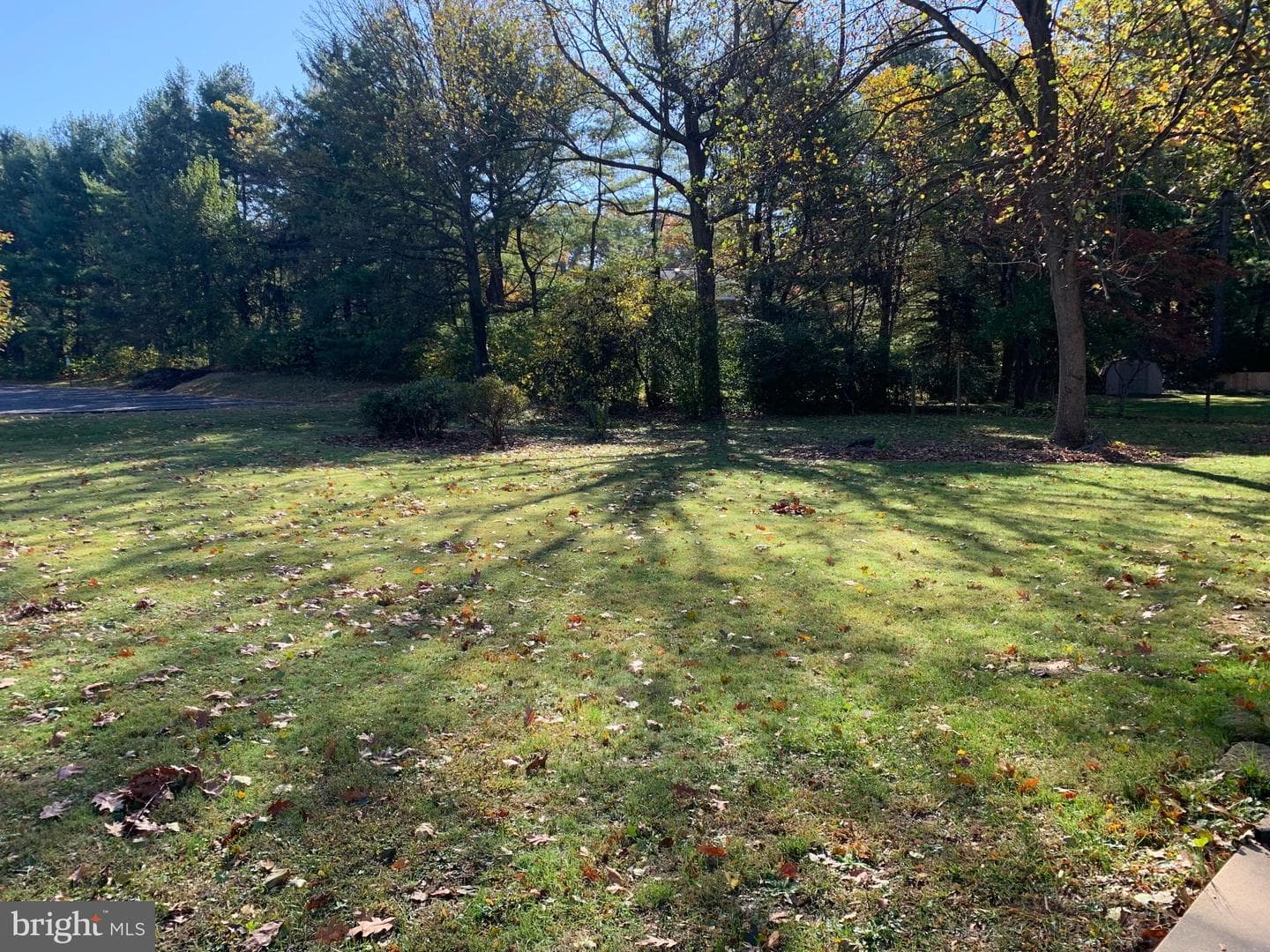 1003 Rockledge Drive photo 9