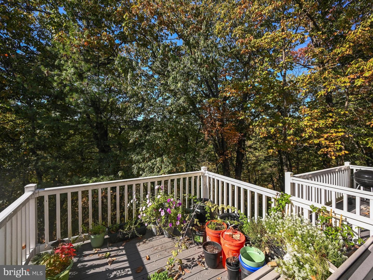 333 Briar Ridge Circle photo 26