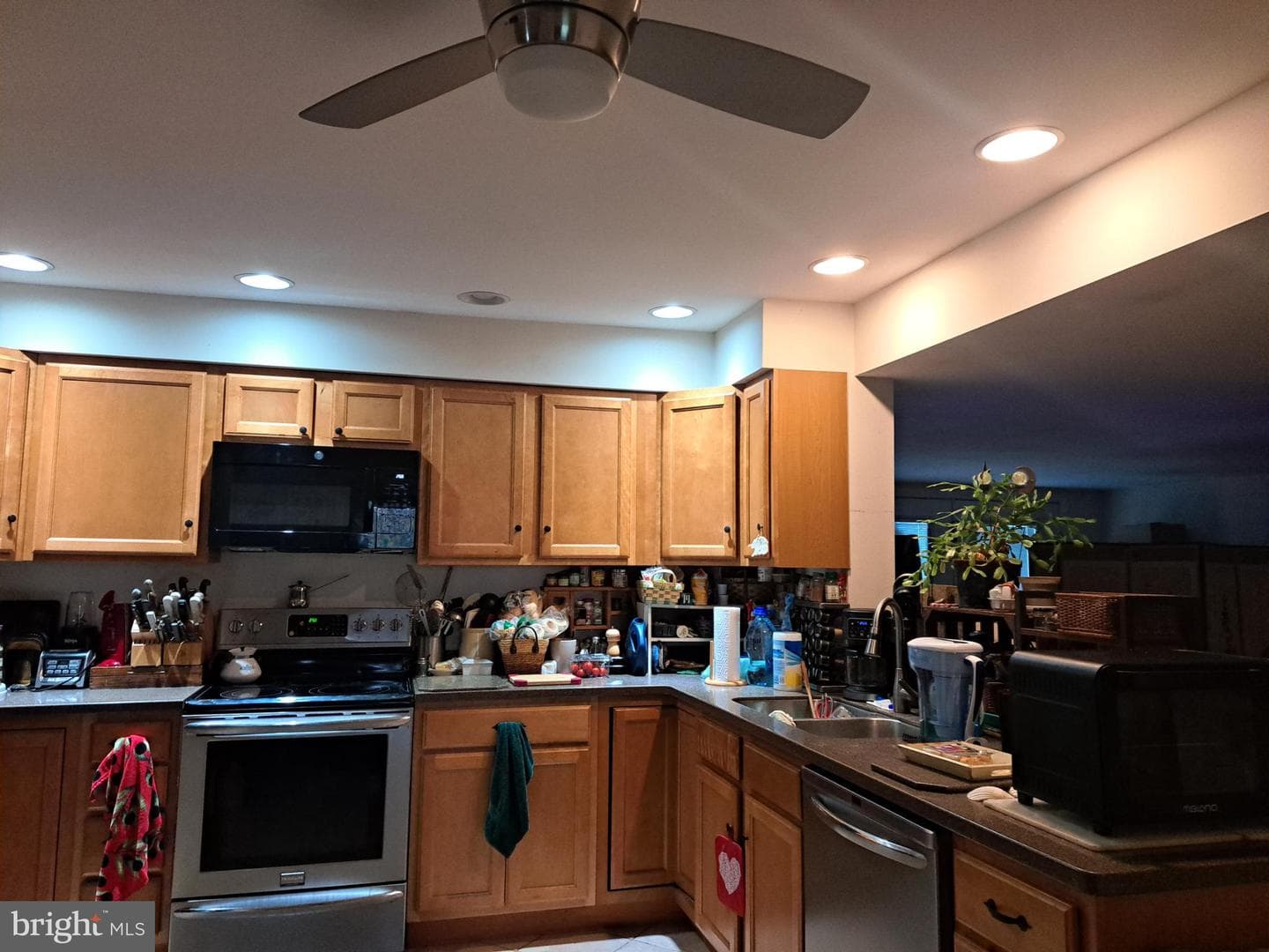 105 Miller Street photo 6