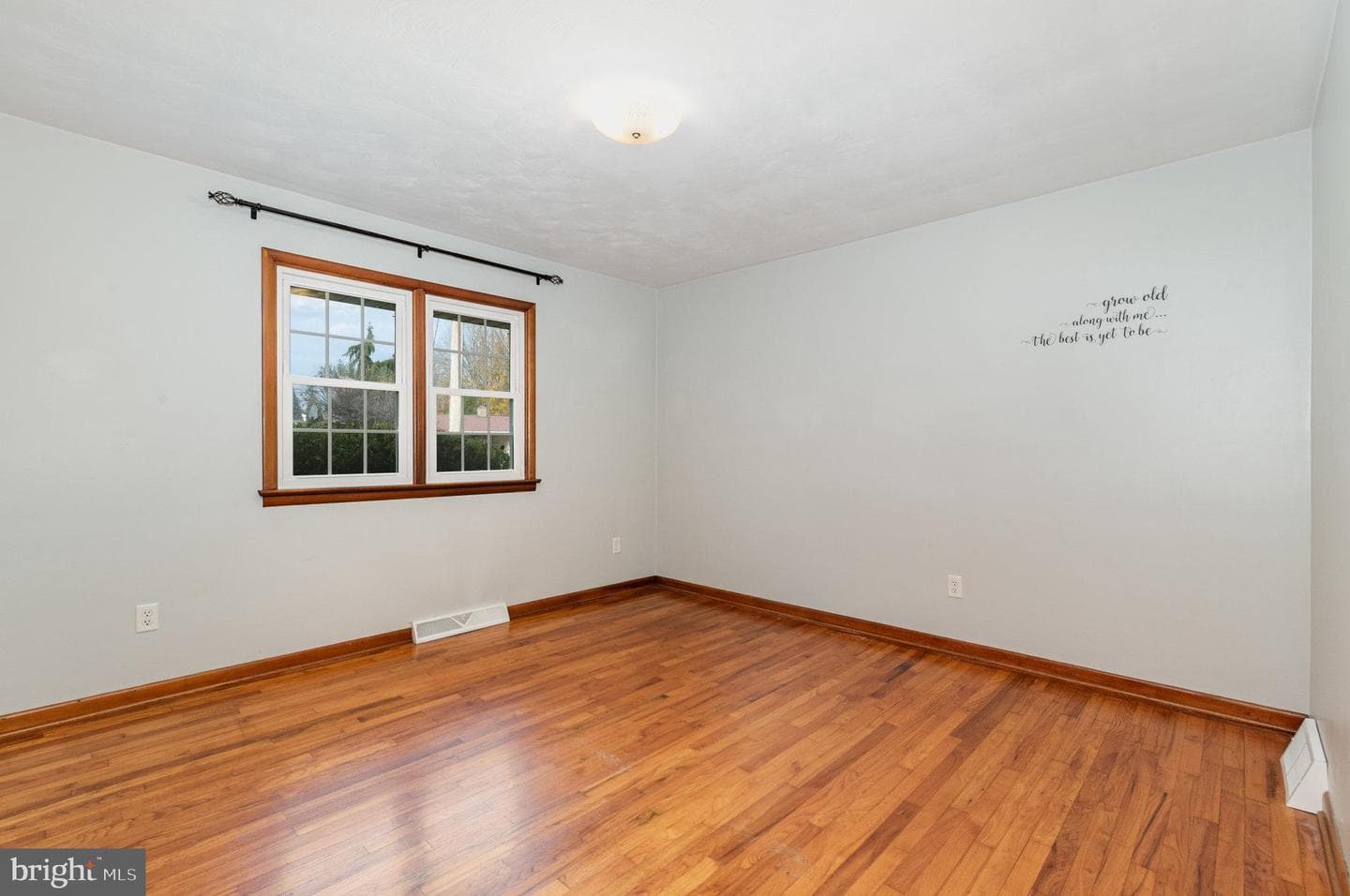 20 Chestnut Street photo 13