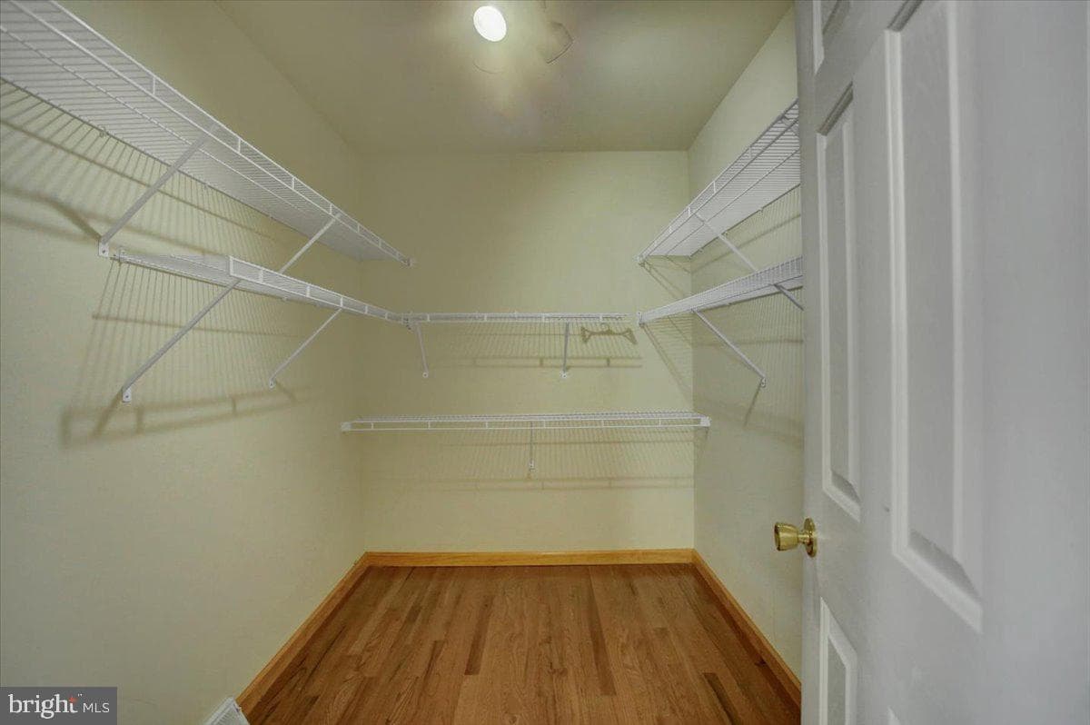409 William Drive photo 36