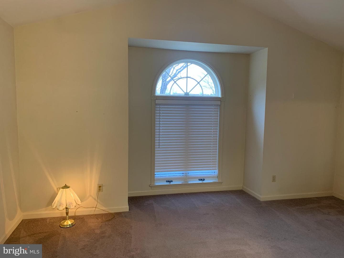 143 Strayer Drive photo 8