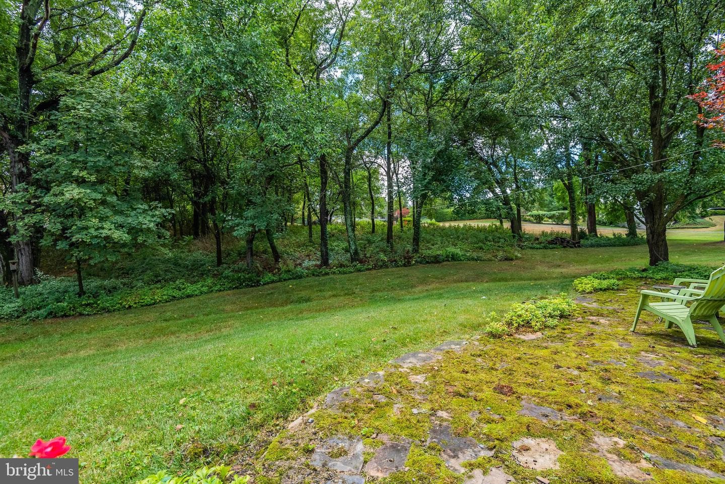 21 Skyline Drive photo 42