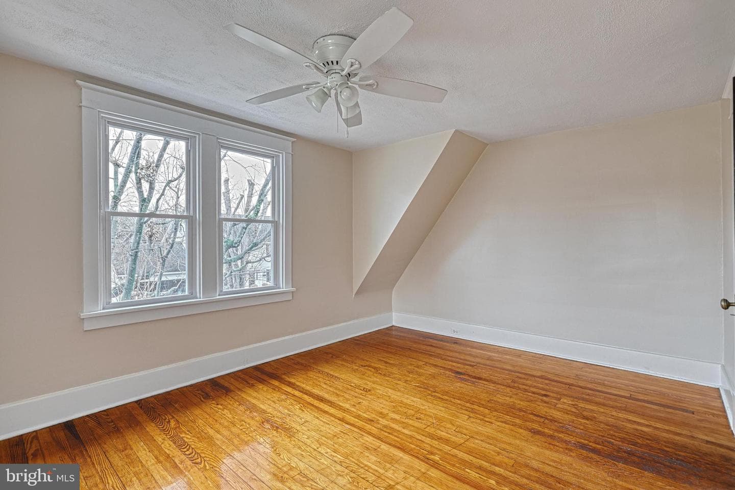 1817 Elm Street photo 20