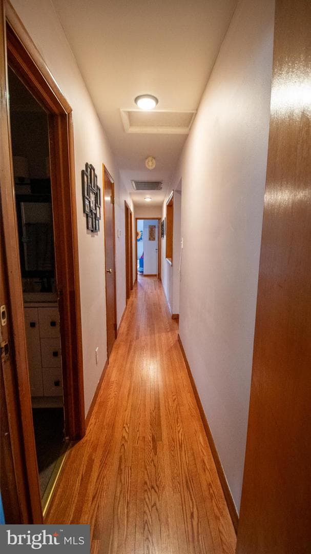 922 Hamilton Street photo 17