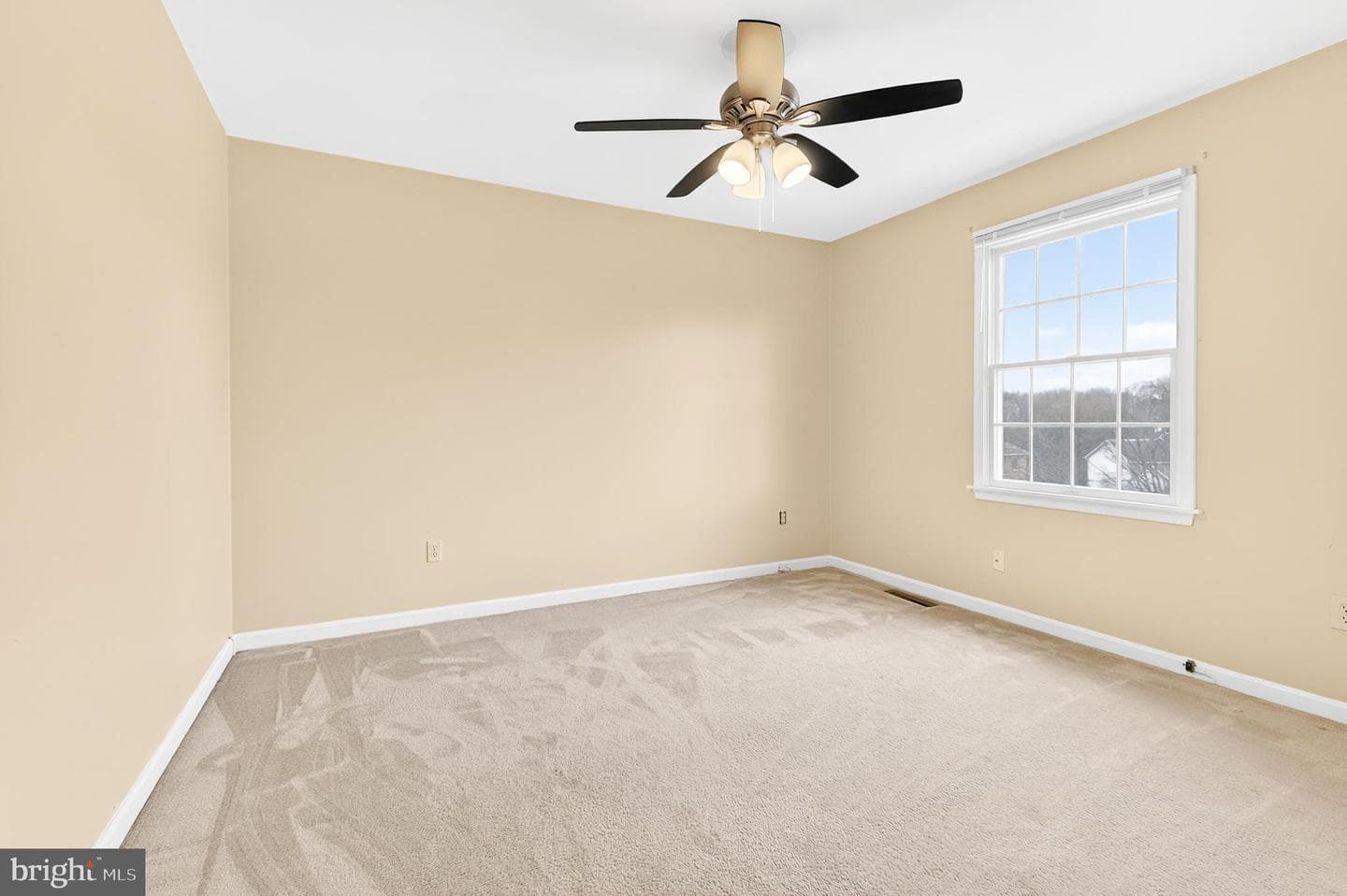 507 David Drive photo 28