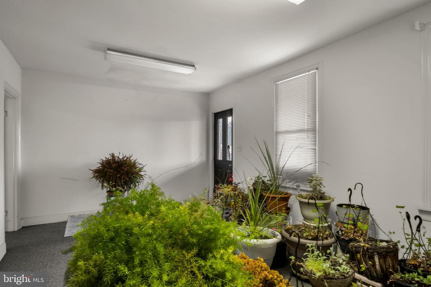 1602 Spring Road photo 20