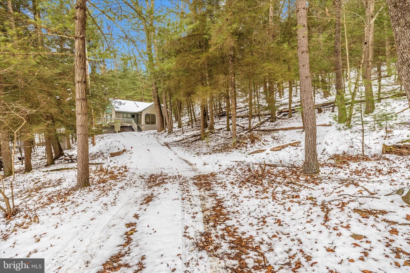 1222 Appalachian Trail photo 6