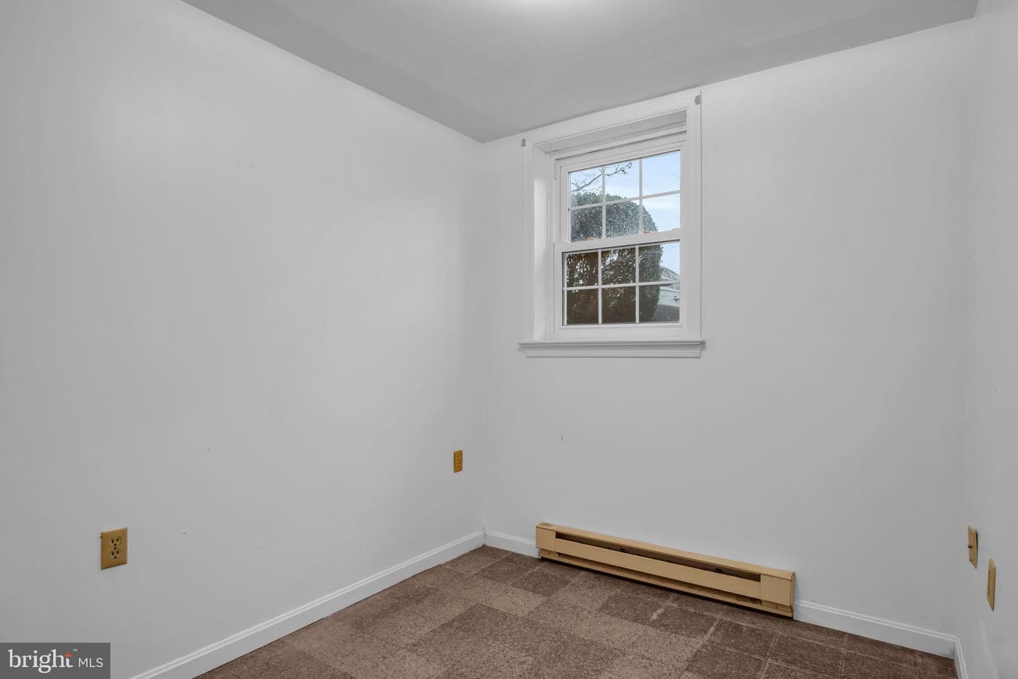 1510 Hemlock Avenue photo 28