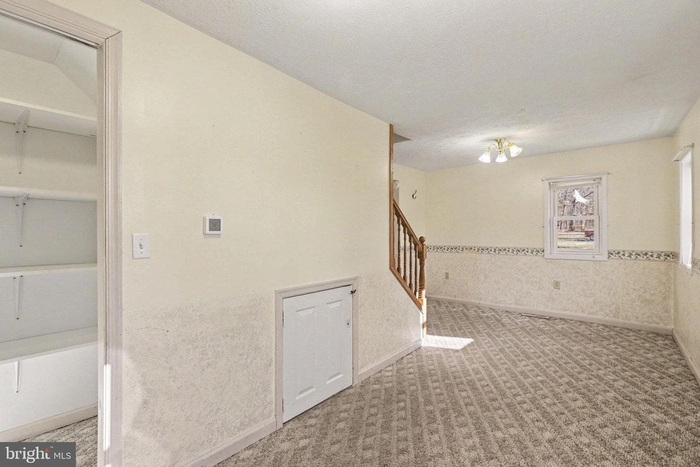 1207 Pine Road photo 17
