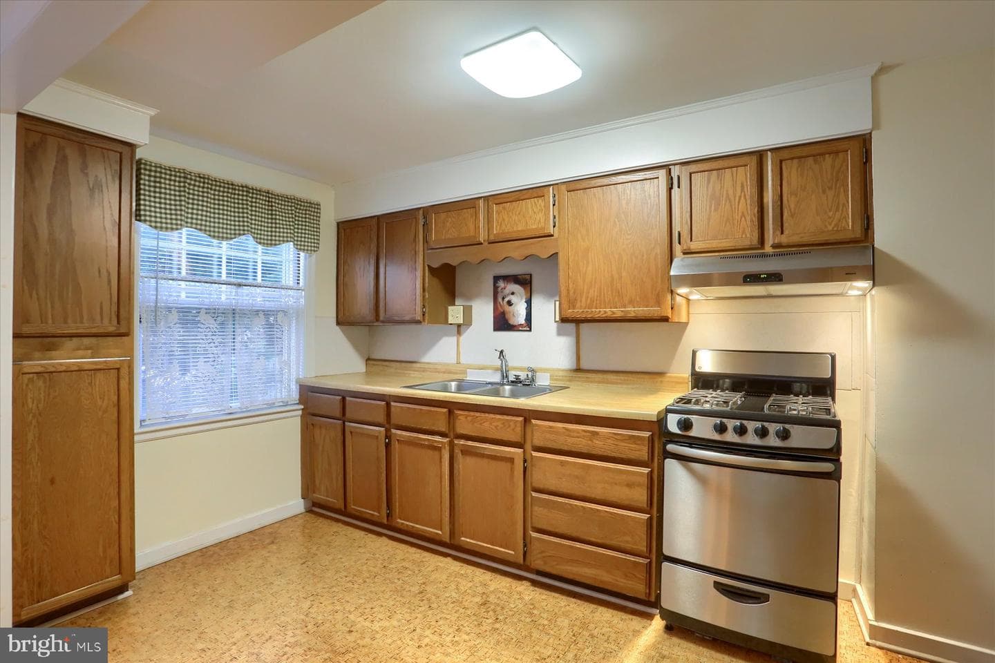257 W Willow Street photo 12