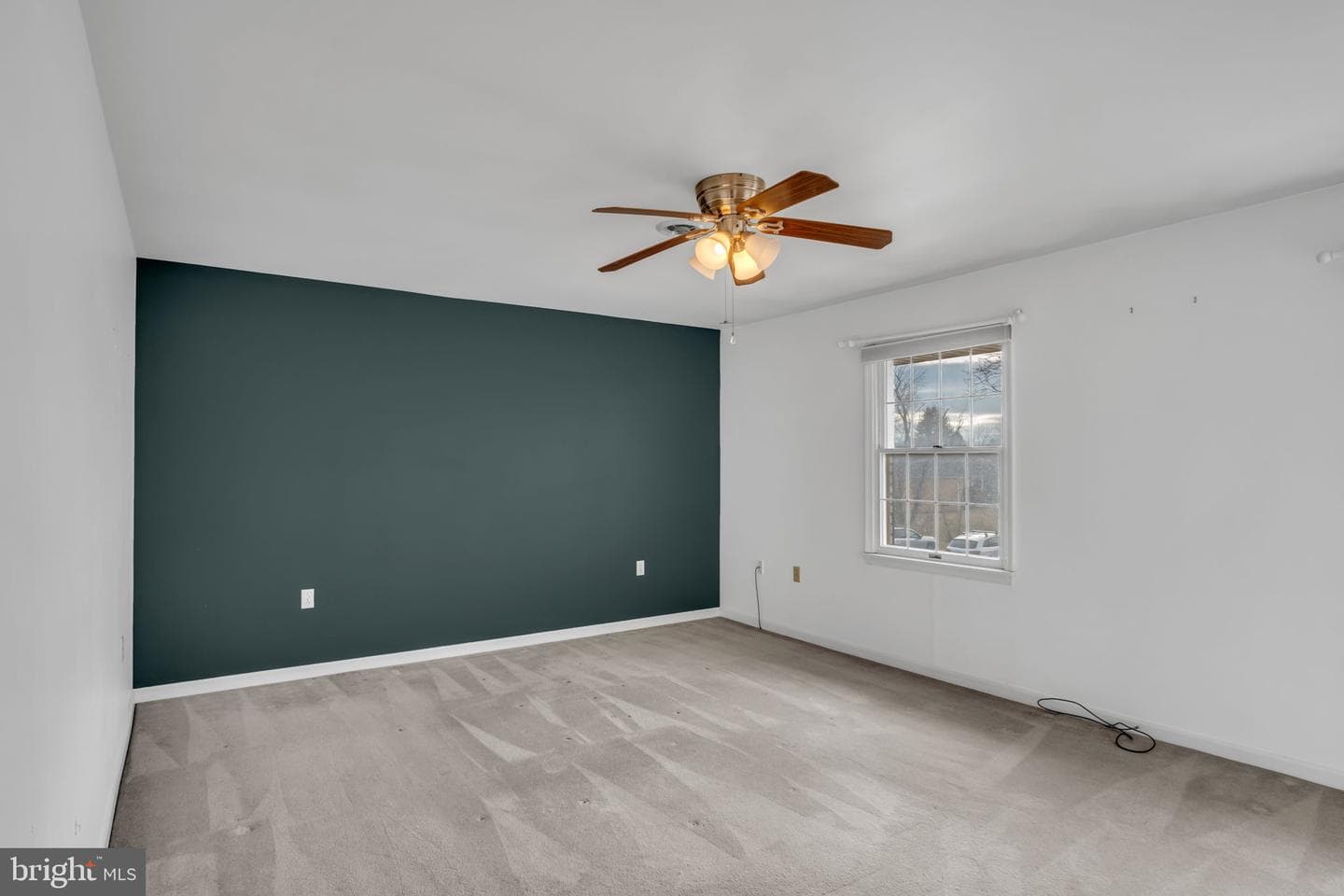 31 Carter Place photo 17