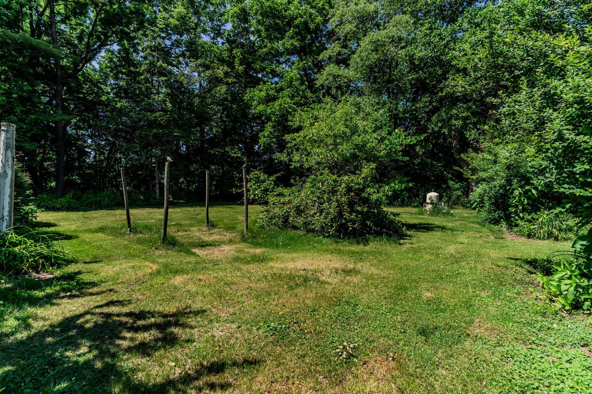 351 Lowther Street photo 17