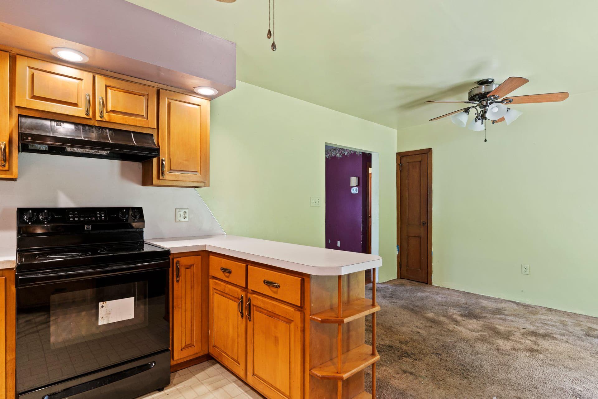 351 Lowther Street photo 7