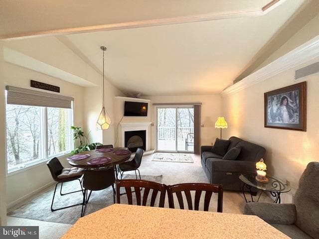 583 Ariel Court photo 15