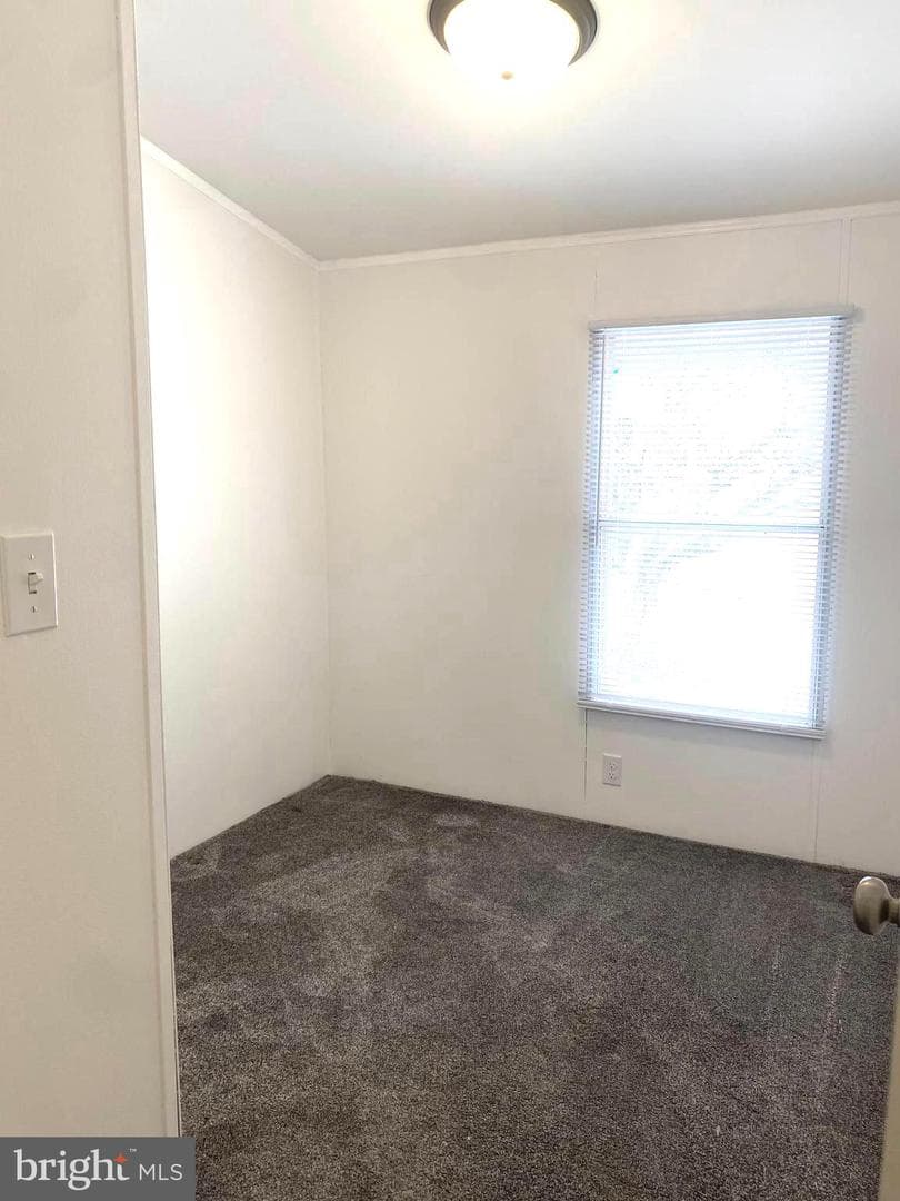 80 Vasilios Drive photo 29
