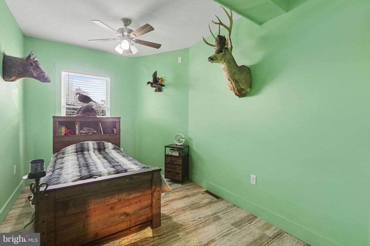 113 S Enola Drive photo 11