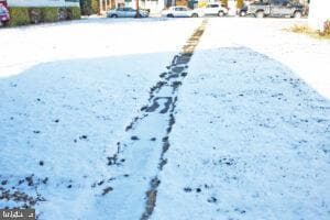 16 E Marble Street photo 36