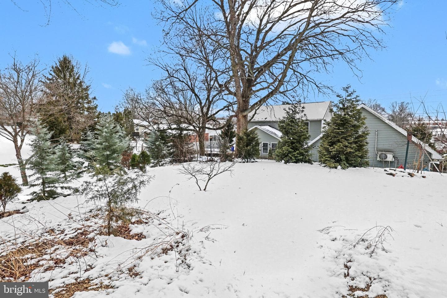 1723 Dighton Street photo 22
