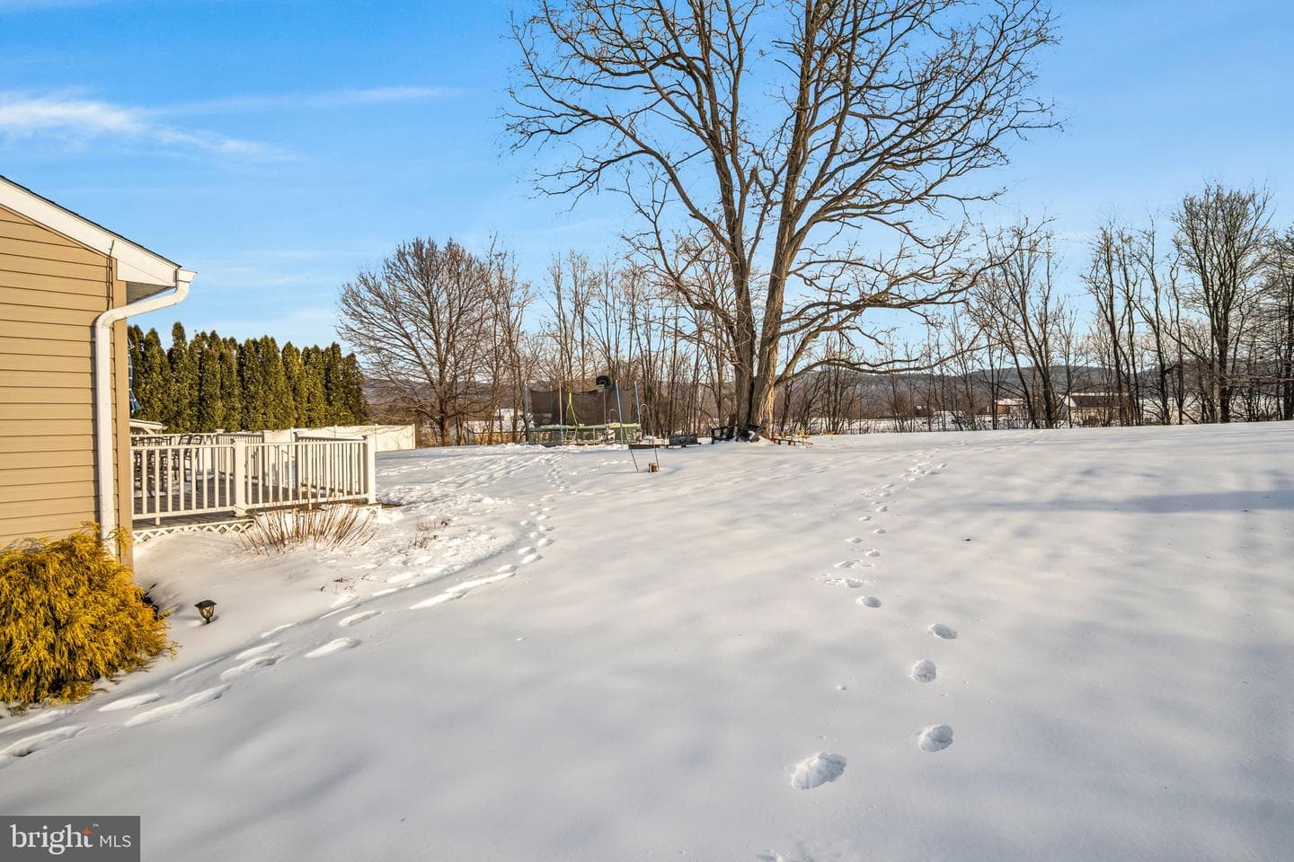 1836 Pine Road photo 11
