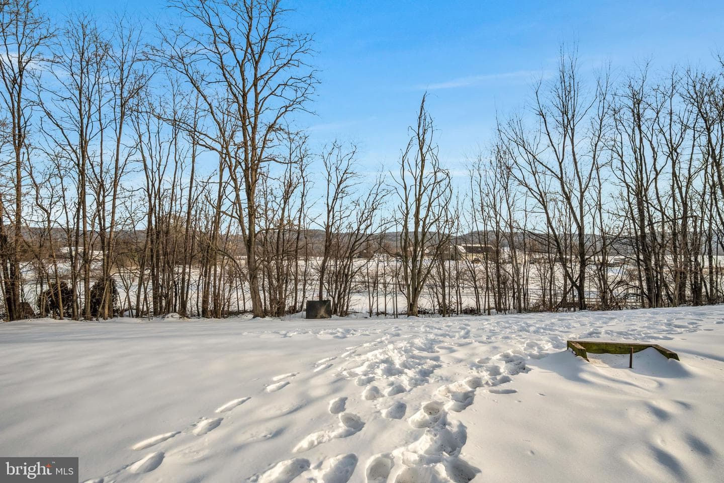 1836 Pine Road photo 12