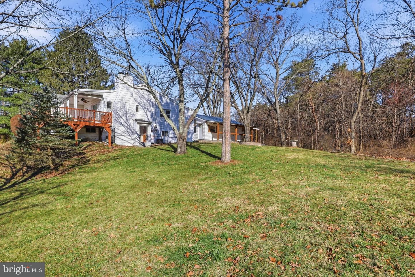 981 Cranes Gap Road photo 37