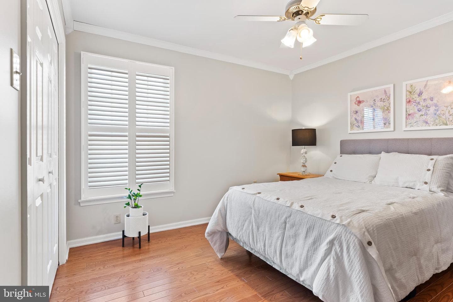 15 Wetherburn Road photo 15
