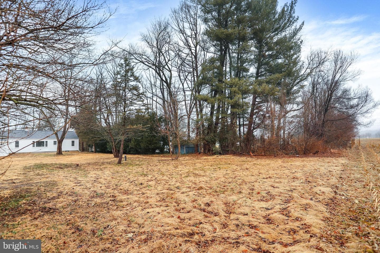 311 Pine Road photo 44