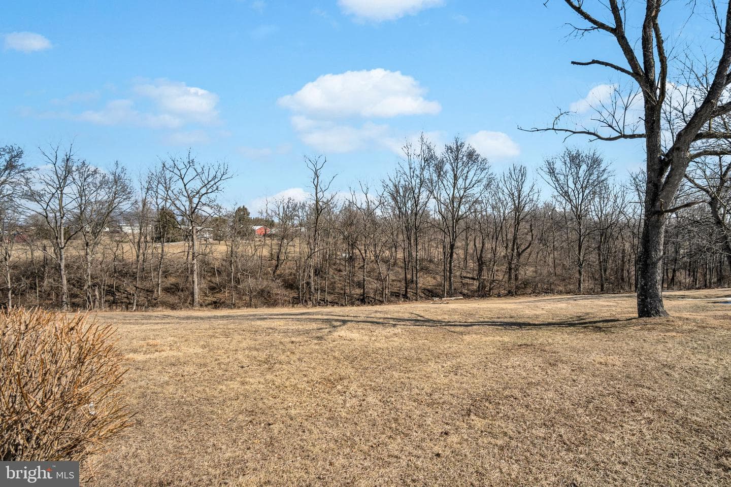 21 Butler Lane photo 54