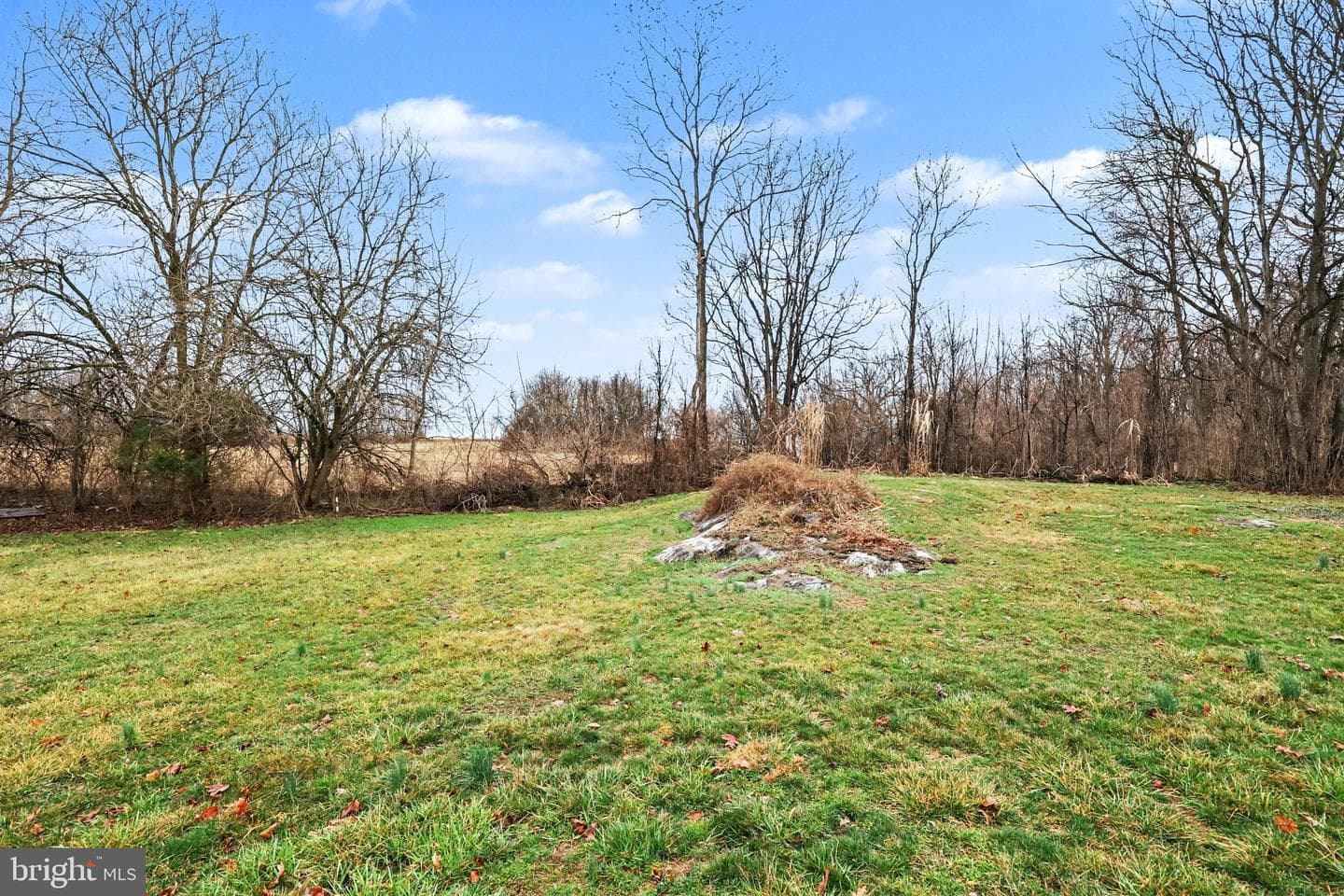 109 Adams Road photo 24