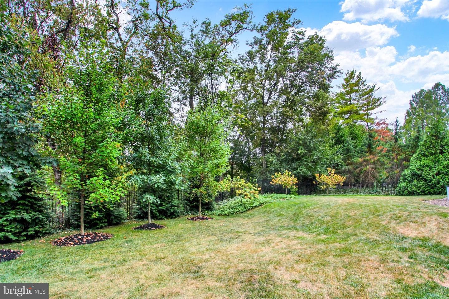 59 South Terrace Road photo 42