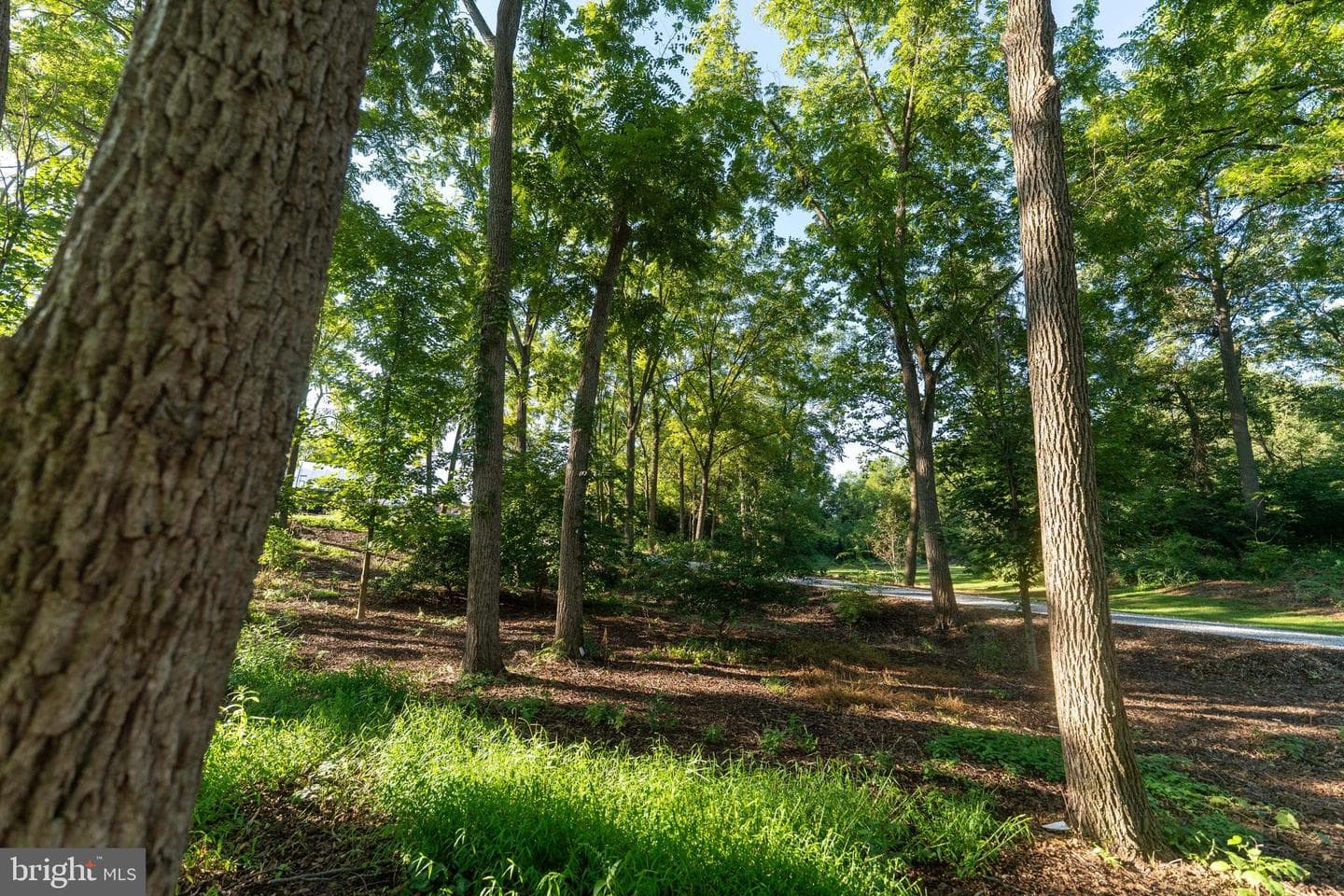 3171 Ritner Highway photo 29