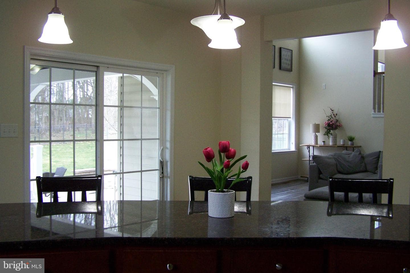 4 Hunt Place photo 15