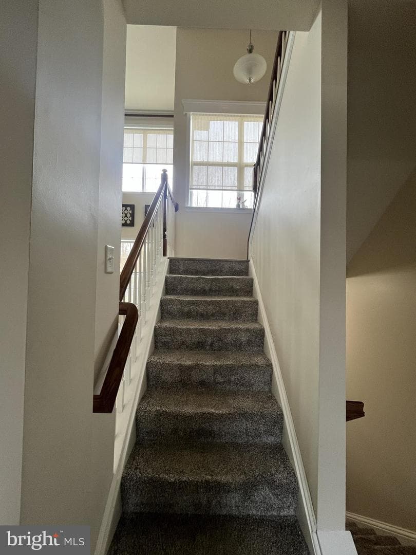 4 Hunt Place photo 25