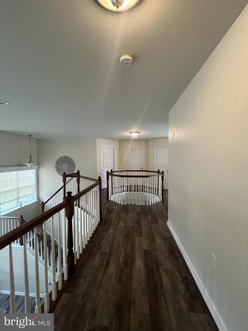 4 Hunt Place photo 27