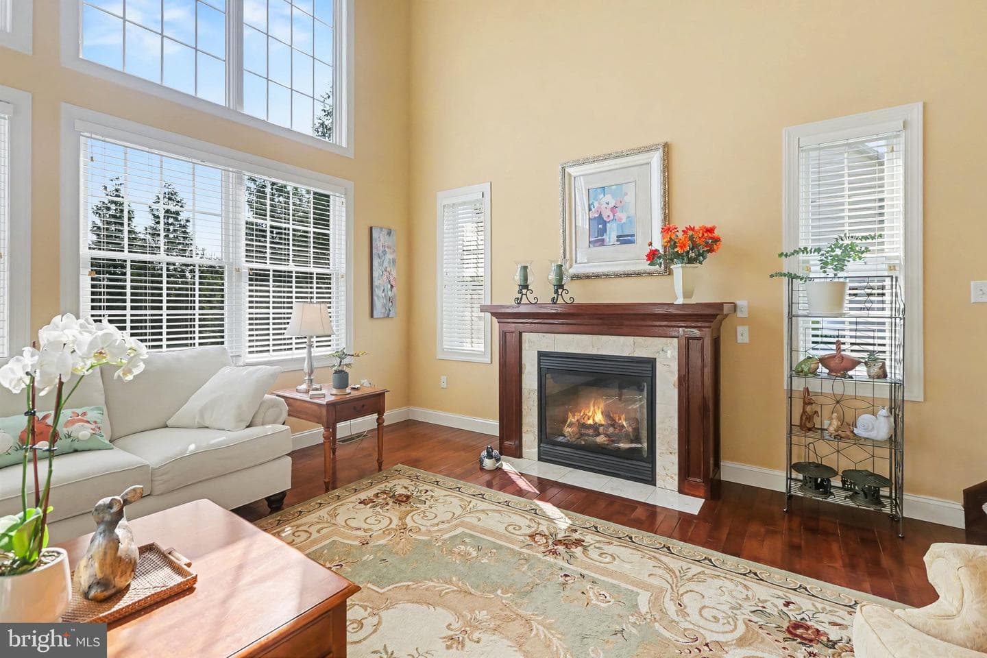 1223 Summit photo 4