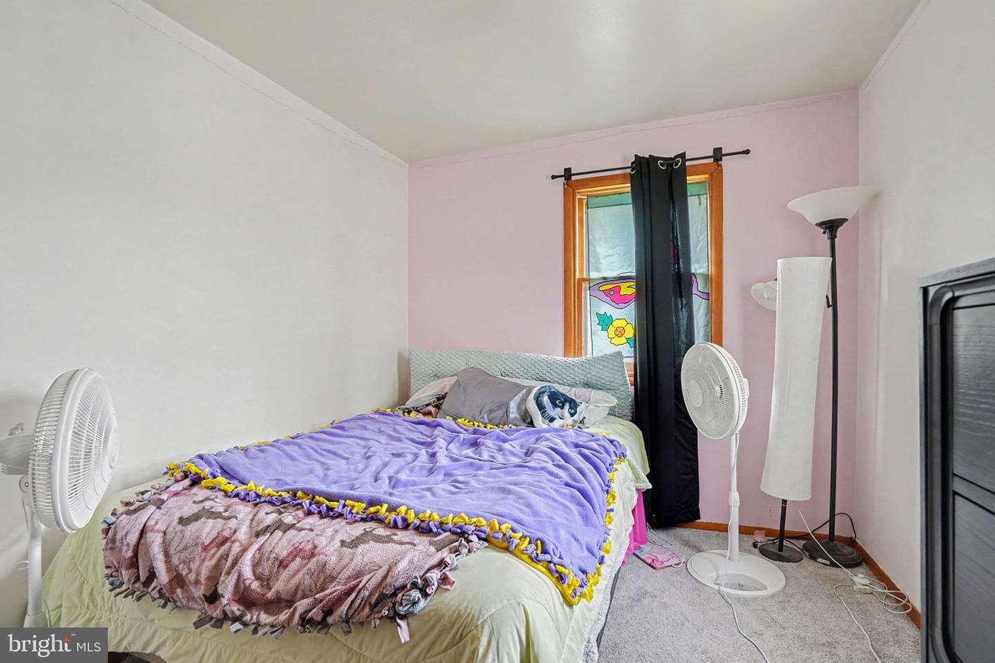1205 Mallard Road photo 17