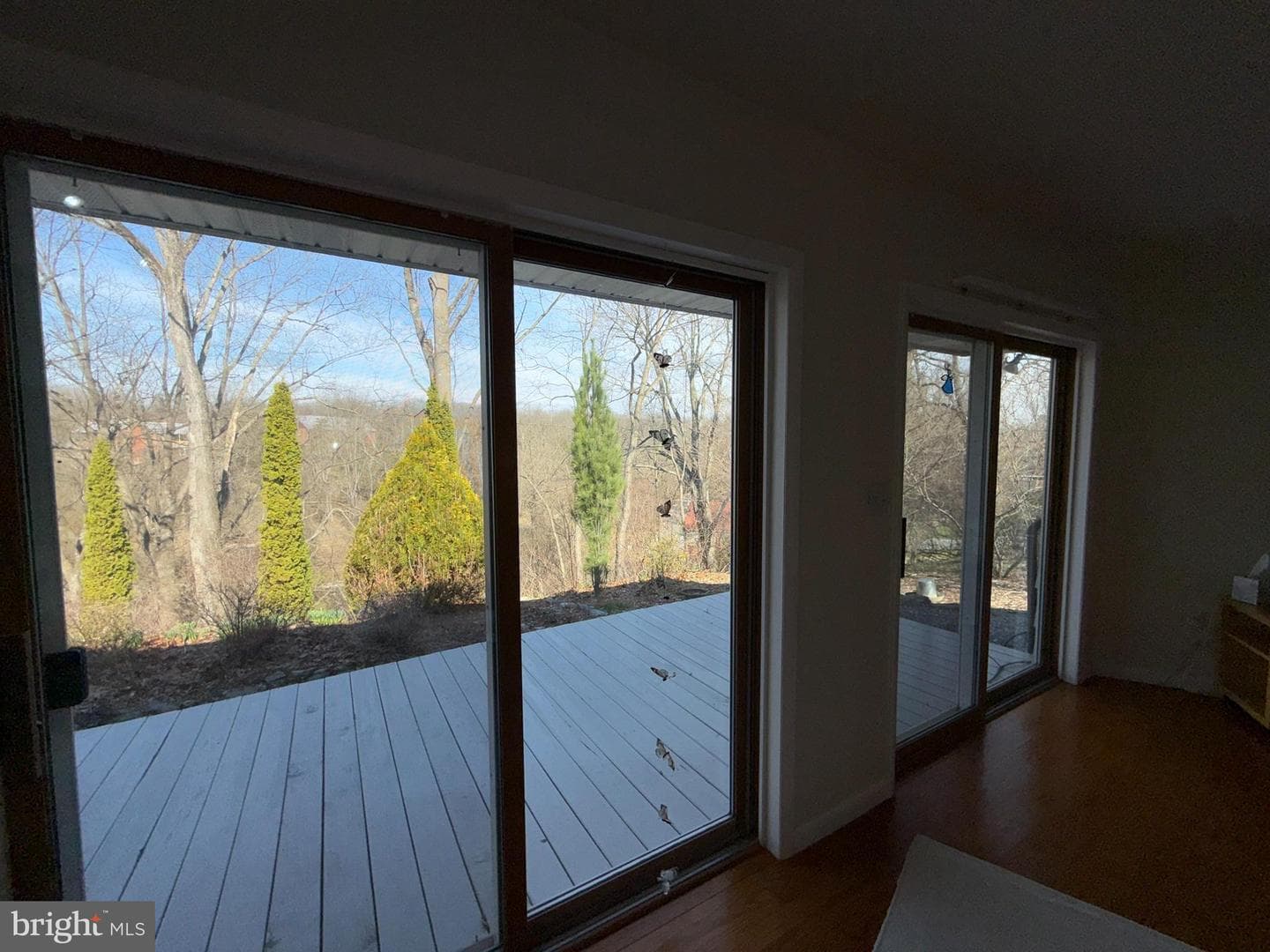16 Springfield Road photo 35