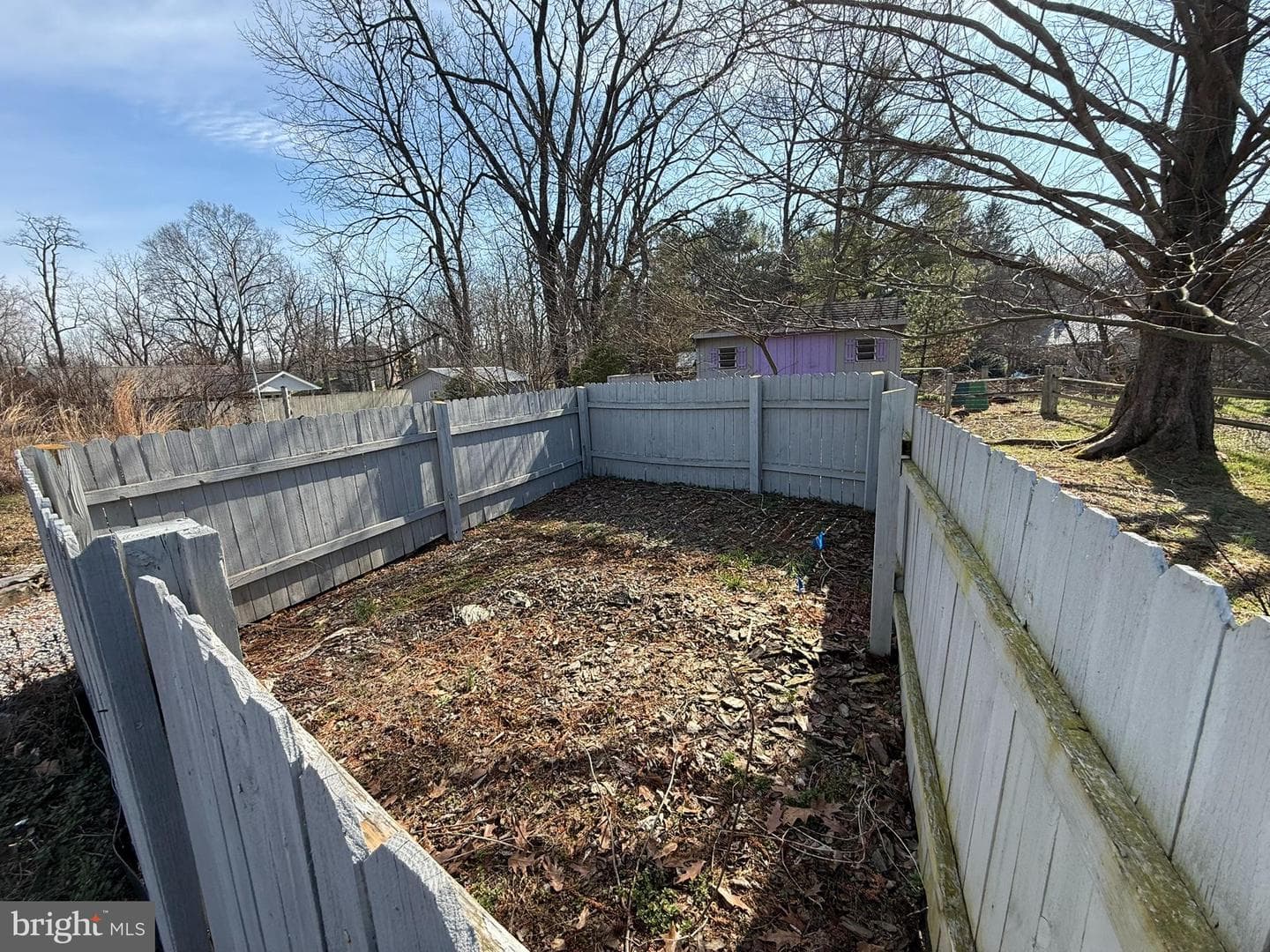16 Springfield Road photo 47