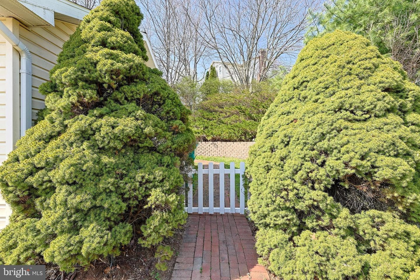 6104 Locust Lane photo 37
