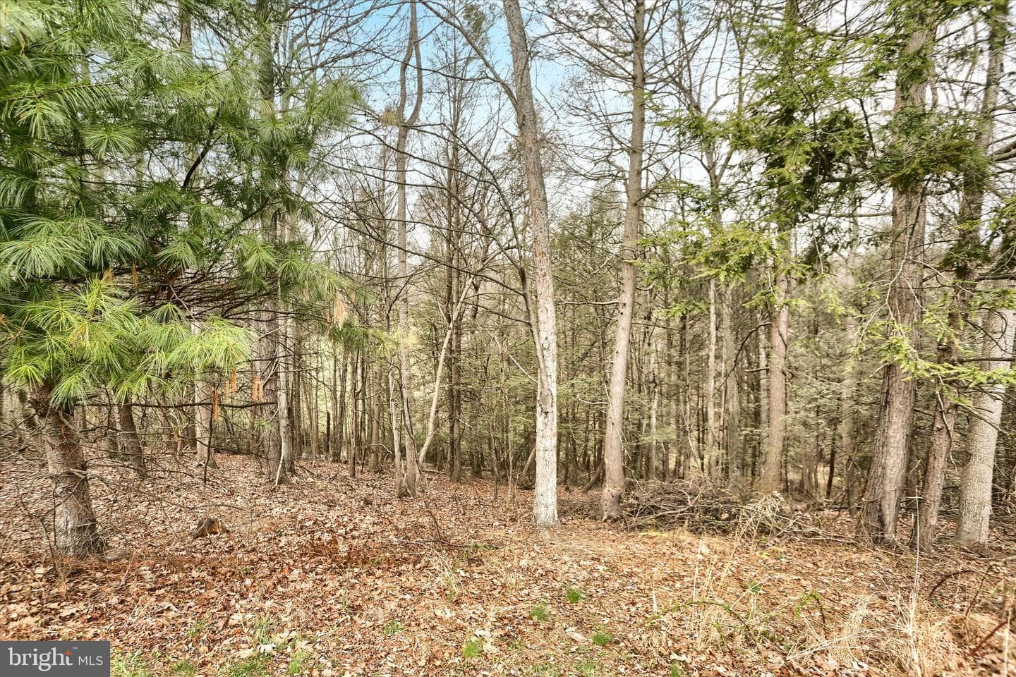 1720 Sawyer Lane photo 73