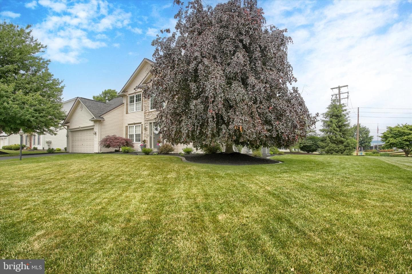 5425 Barbara Drive photo 4