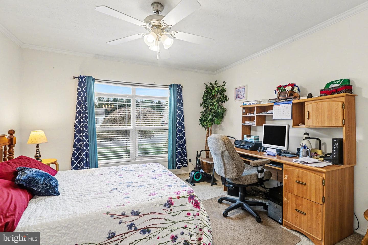 121 Oriole Drive photo 23