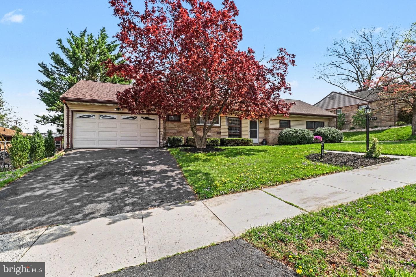 907 Allen Street photo 7