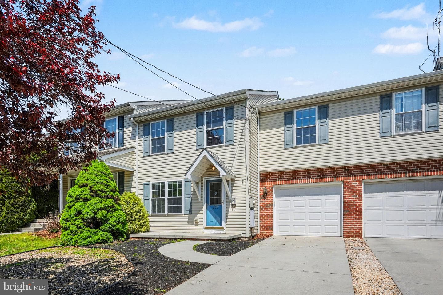 239 G Street