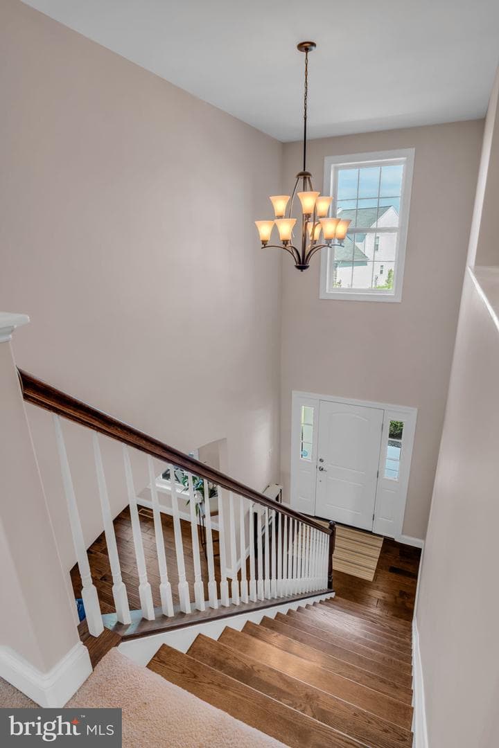 52 Danbury Drive photo 42