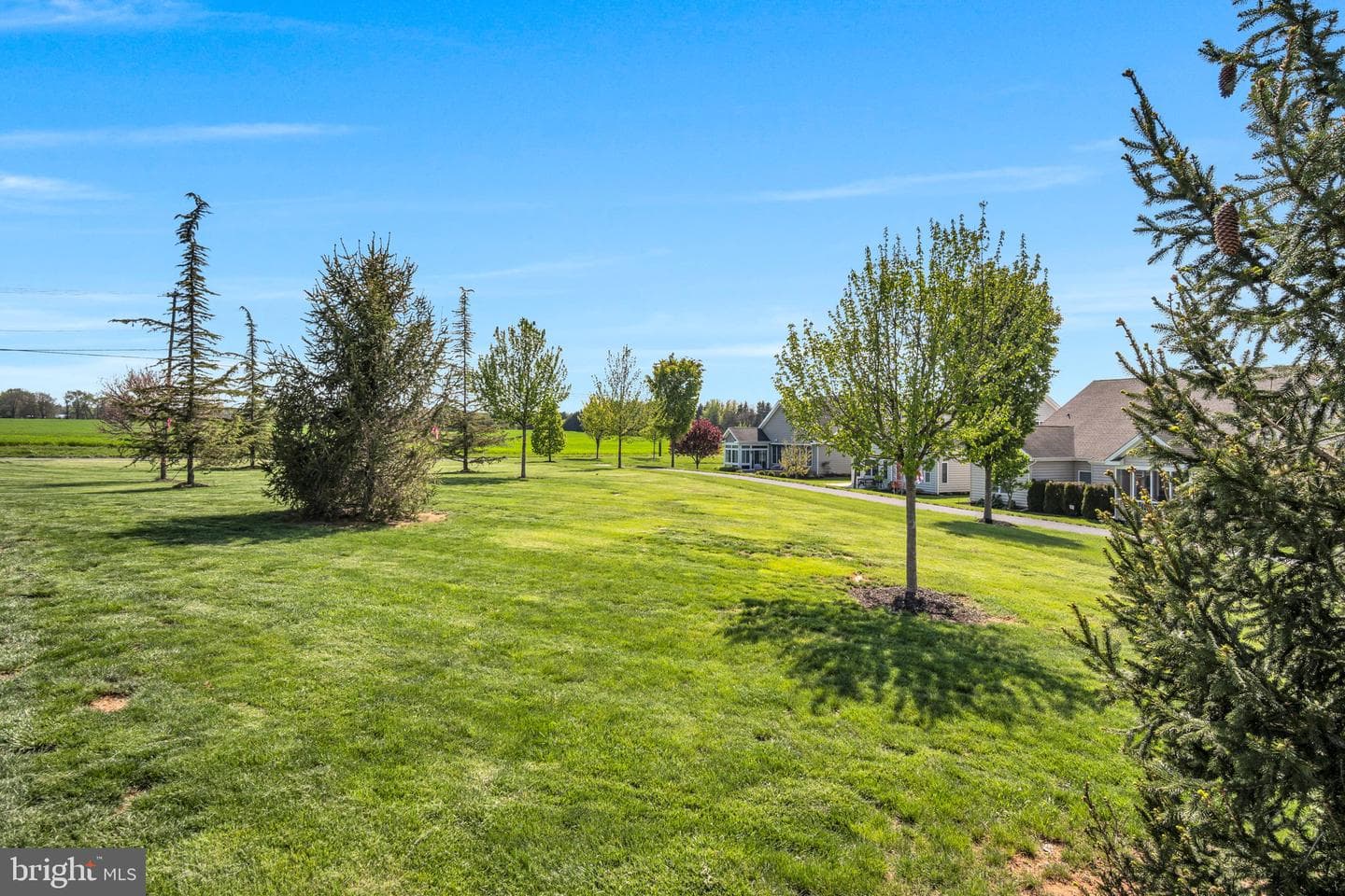 52 Danbury Drive photo 58