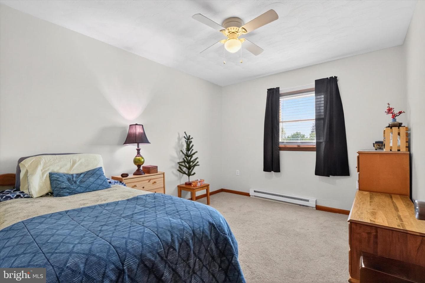 7 Lynn Avenue photo 15