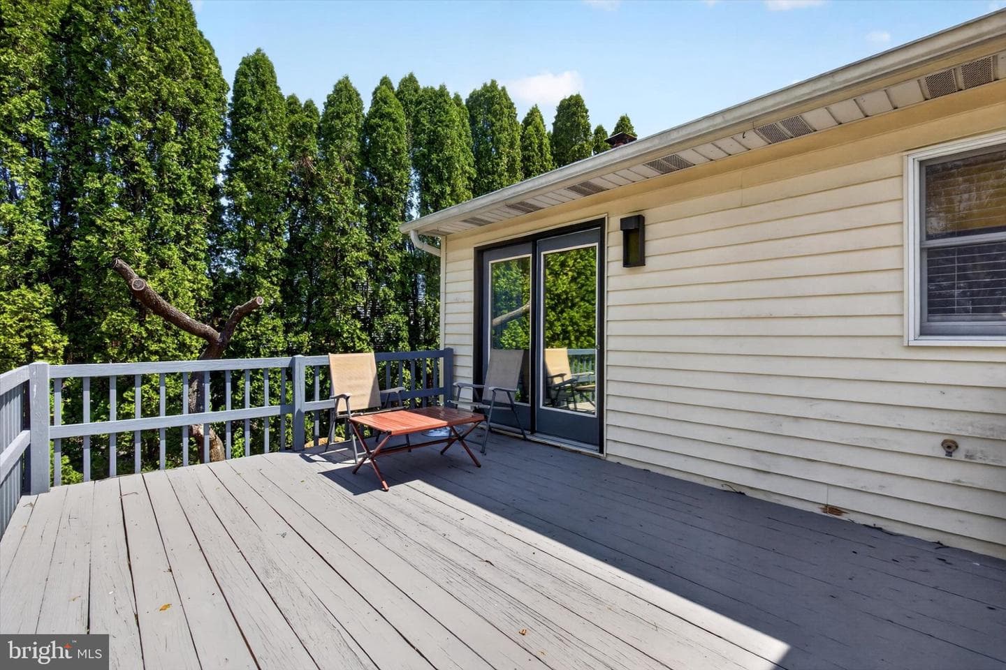 7 Lynn Avenue photo 28