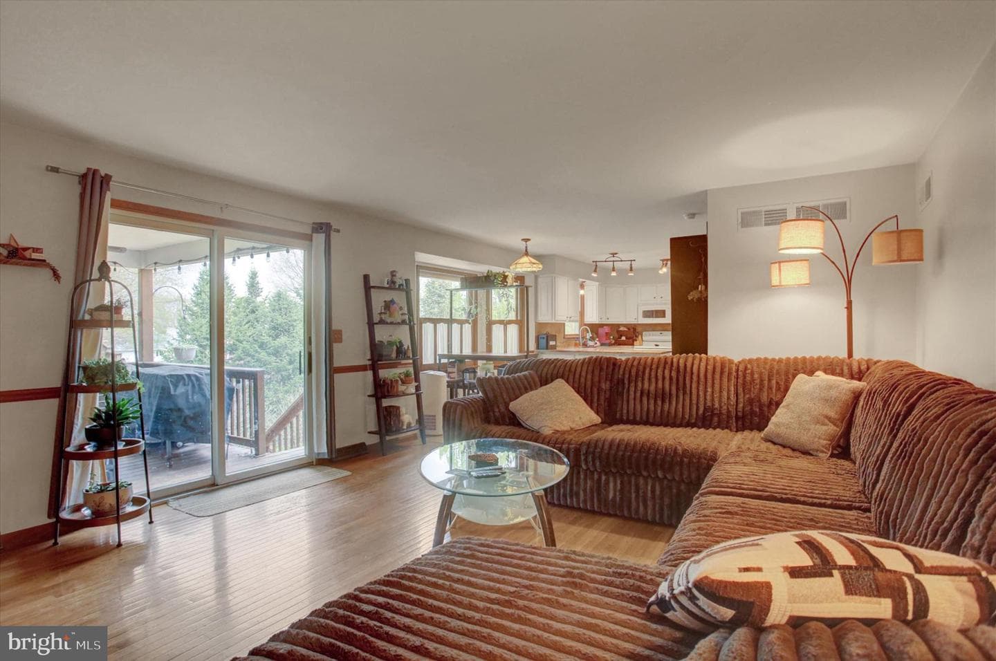 64 Diller Drive photo 19